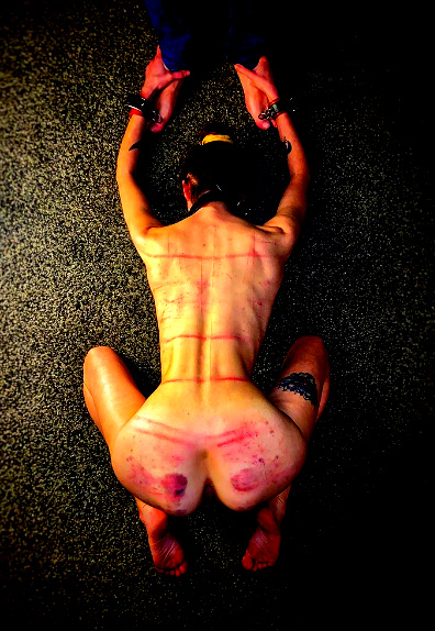 Public Disgrace pour Luna