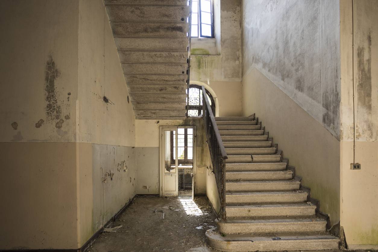 La Cage d'Escalier, by Z